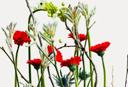 Blumengesteck für Firmen © Foto: Hofkirchner