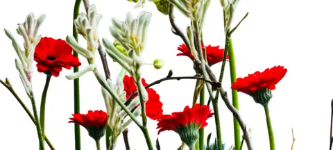 Blumengesteck Landshut © Foto: Hofkirchner