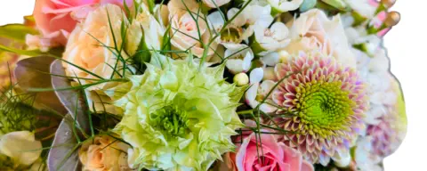 Blumenschmuck Landshut © Foto: Hofkirchner