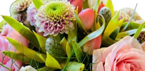 Blumenschmuck Landshut © Foto: Hofkirchner