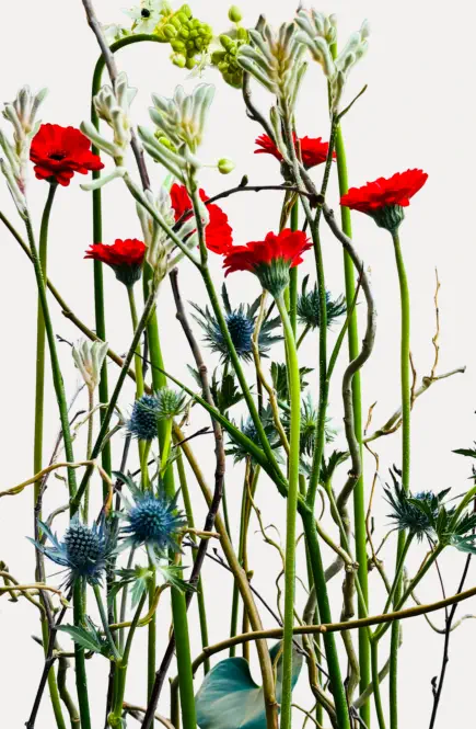 Blumengesteck für Firmen © Foto: Hofkirchner