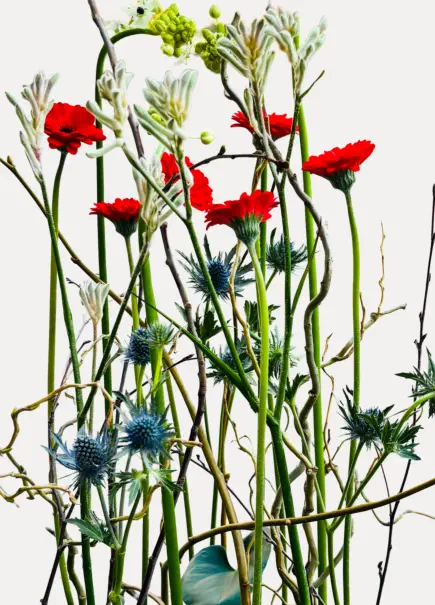 Blumengesteck für Firmen © Foto: Hofkirchner